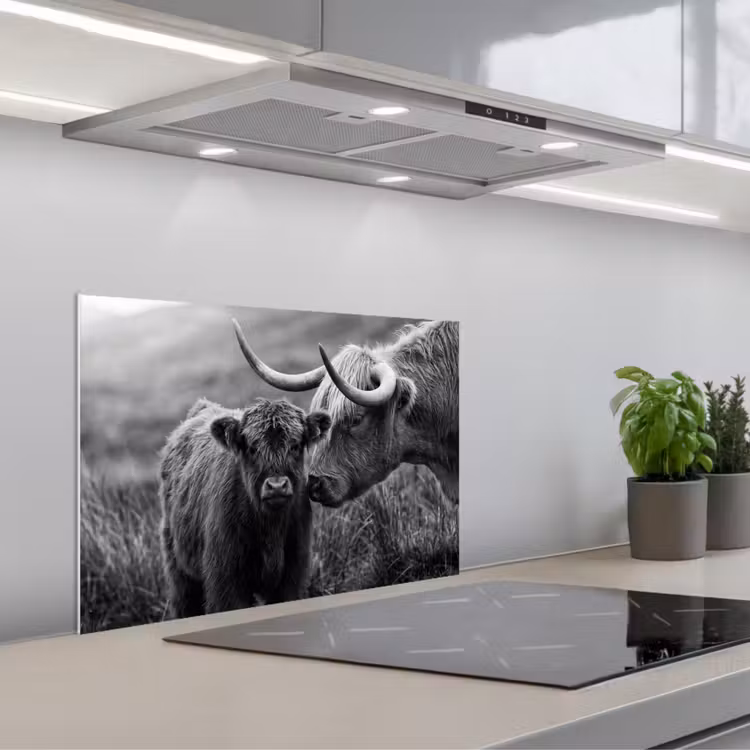 Schotse hooglander - Kalf - Zwart - Wit keuken achterwand spatscherm klein -3d_schuin