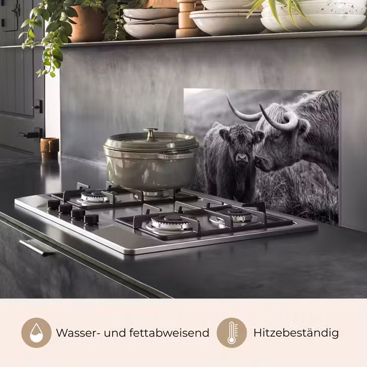 Schotse hooglander - Kalf - Zwart - Wit keuken achterwand spatscherm klein -usp_DE