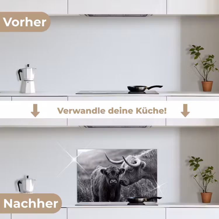 Schotse hooglander - Kalf - Zwart - Wit keuken achterwand spatscherm klein -voor_na_DE