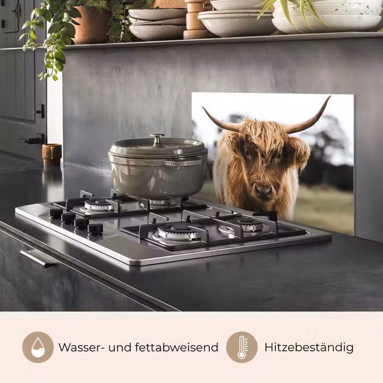 Schotse Hooglander - Koe - Gras - Dieren - Natuur keuken achterwand spatscherm klein -usp_DE