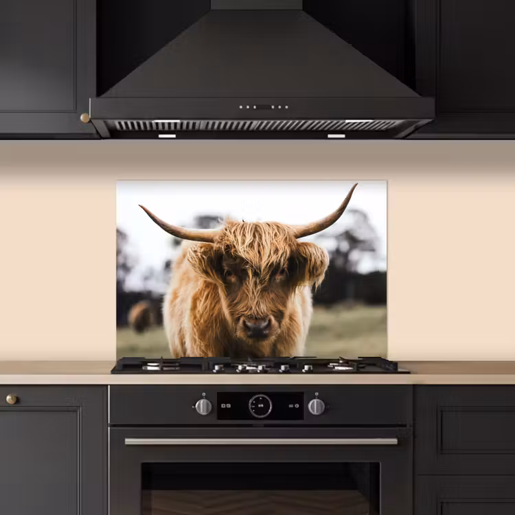 Schotse Hooglander - Koe - Gras - Dieren - Natuur keuken achterwand spatscherm klein -sfeer1
