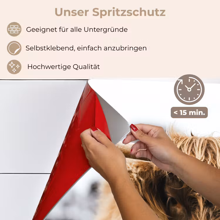 Schotse Hooglander - Koe - Gras - Dieren - Natuur keuken achterwand spatscherm klein -spatscherm_DE