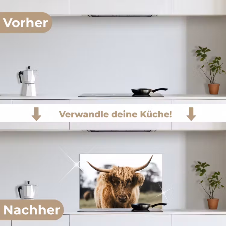 Schotse Hooglander - Koe - Gras - Dieren - Natuur keuken achterwand spatscherm klein -voor_na_DE