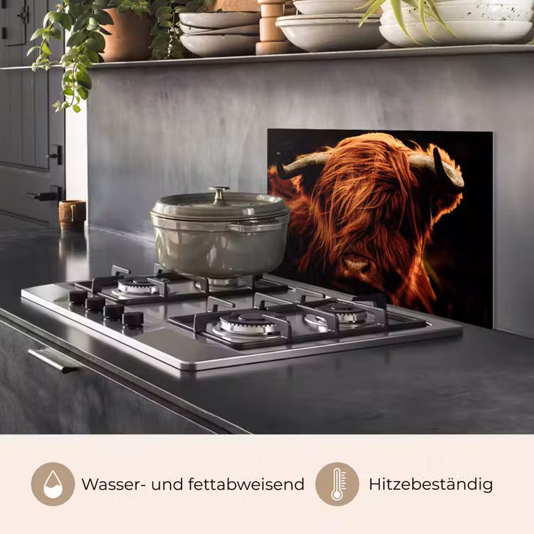 Schotse hooglander - Koe - Hoorns - Portret - Dieren keuken achterwand spatscherm klein -usp_DE
