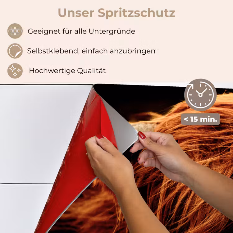 Schotse hooglander - Koe - Hoorns - Portret - Dieren keuken achterwand spatscherm klein -spatscherm_DE