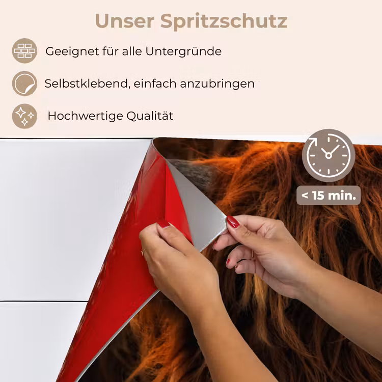 Schotse Hooglander - Koe - Portret - Dieren keuken achterwand spatscherm klein -spatscherm_DE
