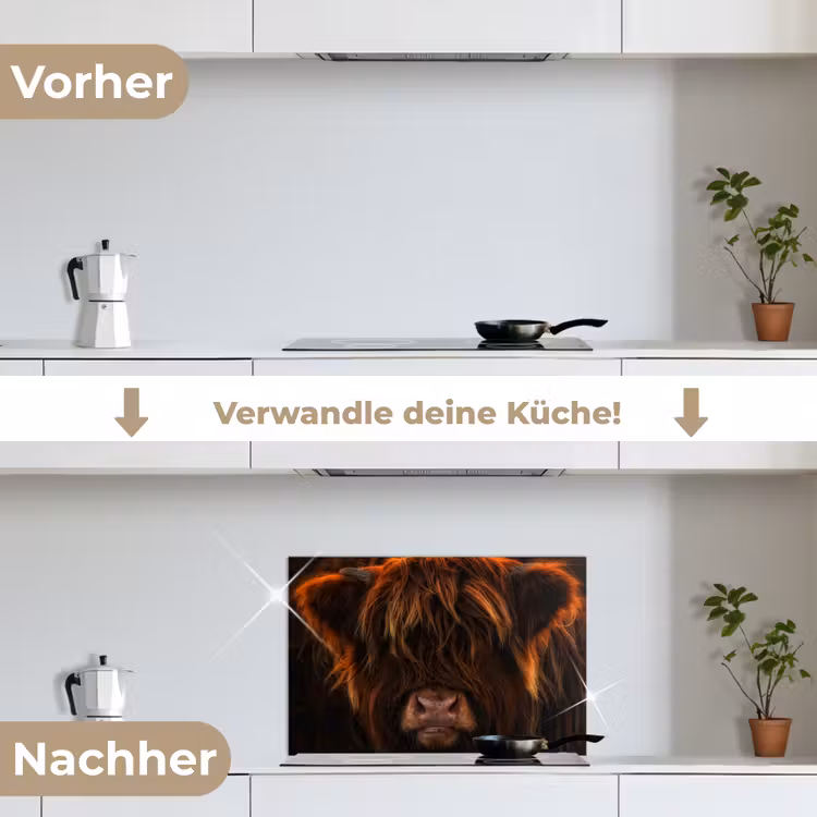 Schotse Hooglander - Koe - Portret - Dieren keuken achterwand spatscherm klein -voor_na_DE