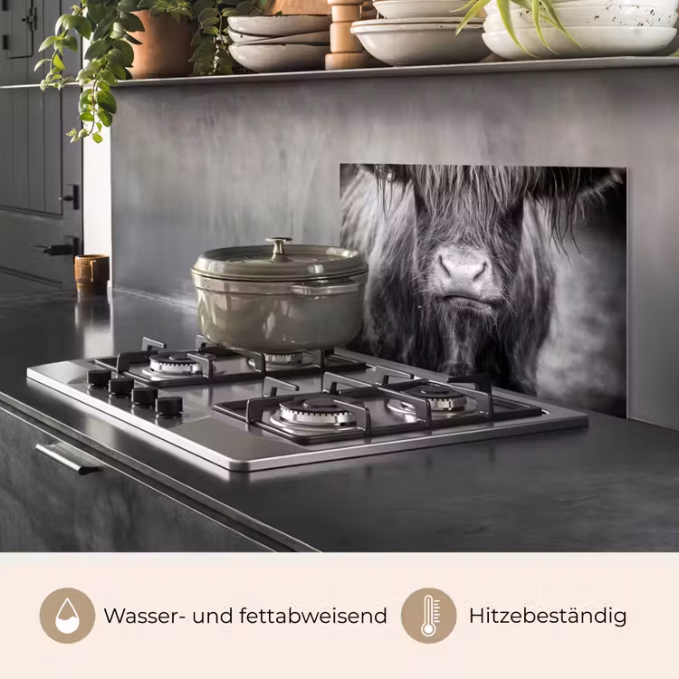 Schotse hooglander - Koe - Zwart - Wit - Dieren keuken achterwand spatscherm klein -usp_DE