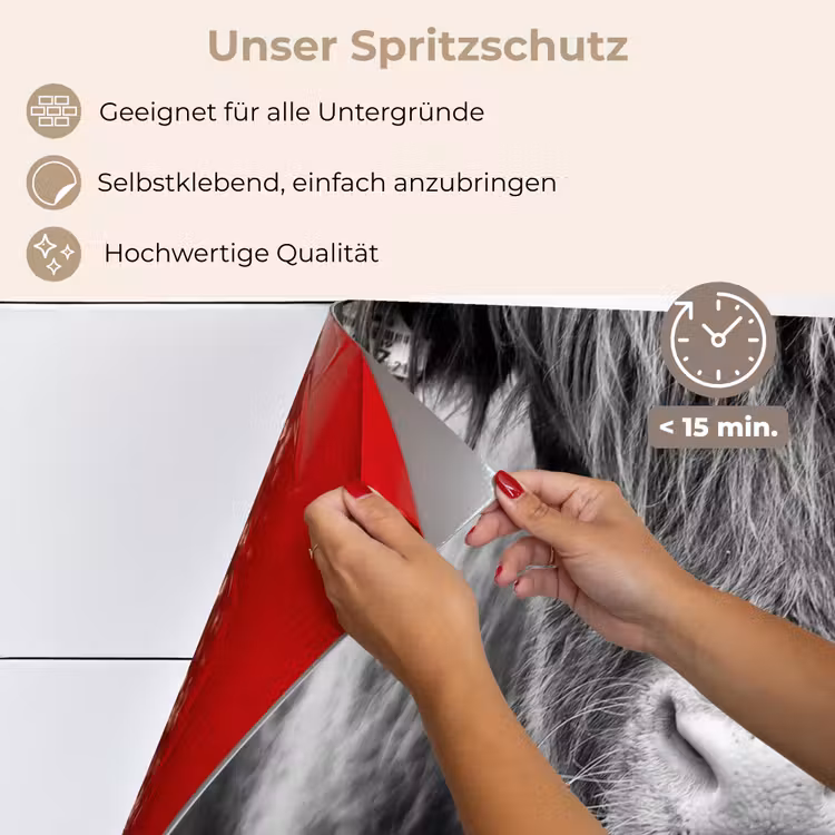 Schotse hooglander - Koe - Zwart - Wit - Dieren keuken achterwand spatscherm klein -spatscherm_DE