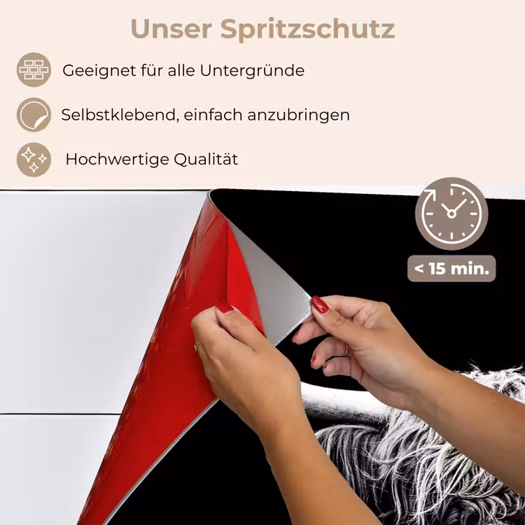 Schotse Hooglander - Koe - Zwart - Wit - Dieren keuken achterwand spatscherm klein -spatscherm_DE