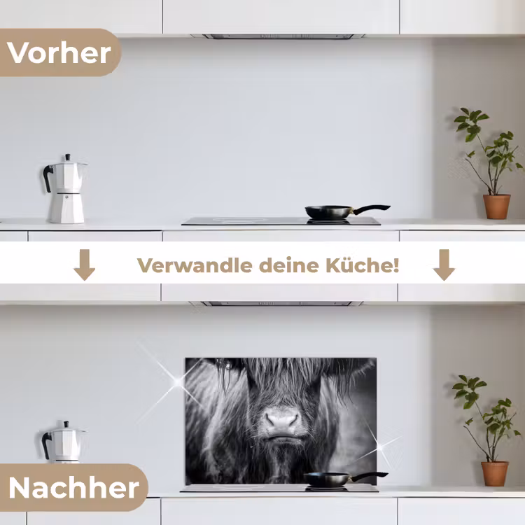 Schotse hooglander - Koe - Zwart - Wit - Dieren keuken achterwand spatscherm klein -voor_na_DE