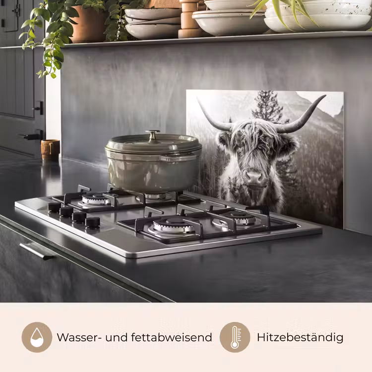 Schotse hooglander - Koe - Dieren - Zwart - Wit keuken achterwand spatscherm klein -usp_DE