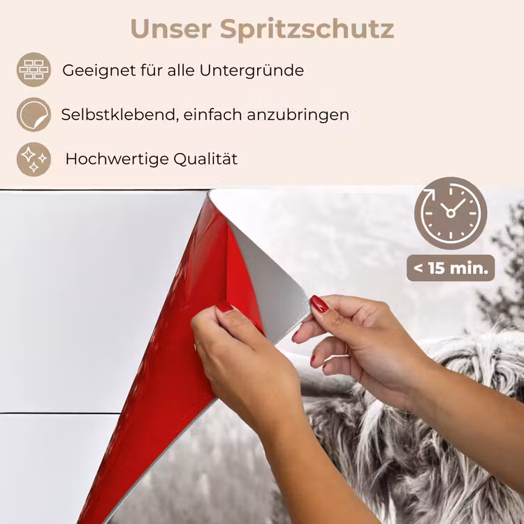Schotse hooglander - Koe - Dieren - Zwart - Wit keuken achterwand spatscherm klein -spatscherm_DE