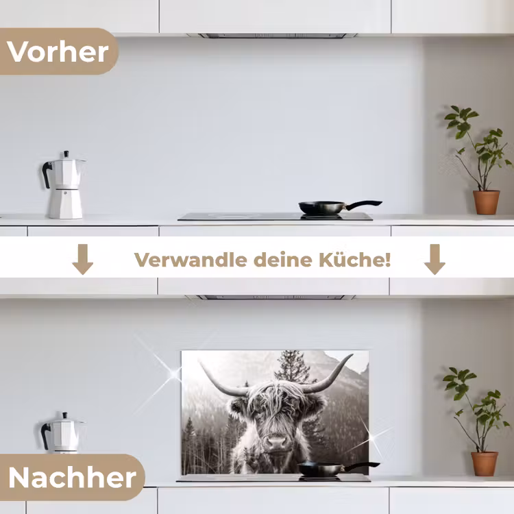 Schotse hooglander - Koe - Dieren - Zwart - Wit keuken achterwand spatscherm klein -voor_na_DE
