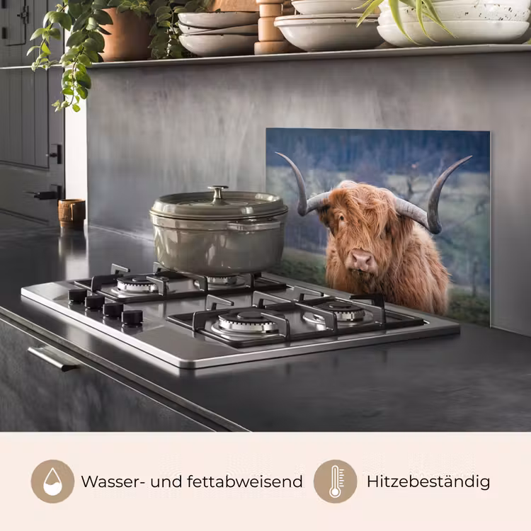 Schotse Hooglander - Koeienkop - Landschap - Natuur - Koe keuken achterwand spatscherm klein -usp_DE