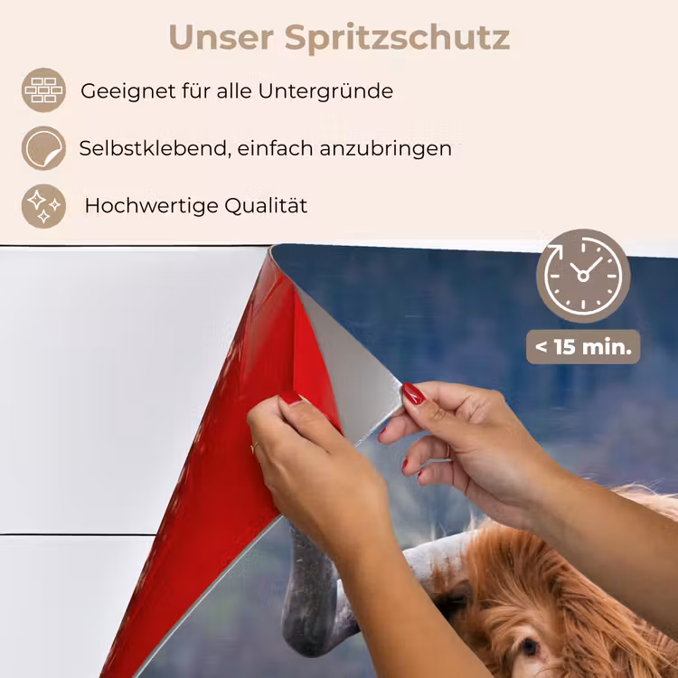 Schotse Hooglander - Koeienkop - Landschap - Natuur - Koe keuken achterwand spatscherm klein -spatscherm_DE