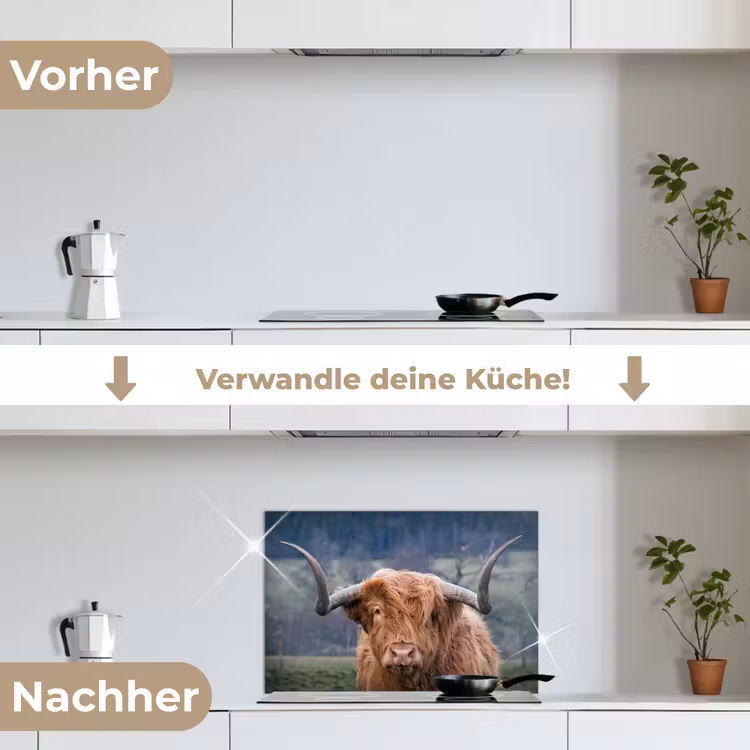 Schotse Hooglander - Koeienkop - Landschap - Natuur - Koe keuken achterwand spatscherm klein -voor_na_DE