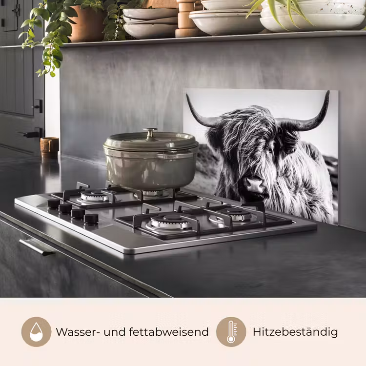 Schotse hooglander - Close up - Horens - Vacht - Zwart Wit keuken achterwand spatscherm klein -usp_DE