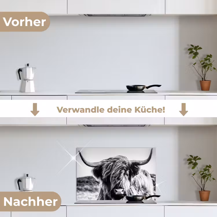 Schotse hooglander - Close up - Horens - Vacht - Zwart Wit keuken achterwand spatscherm klein -voor_na_DE