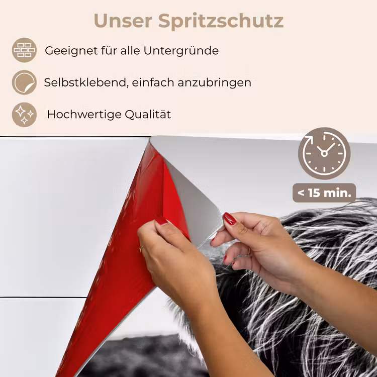 Schotse hooglander - Natuur - Koe - Zwart - Wit keuken achterwand spatscherm klein -spatscherm_DE