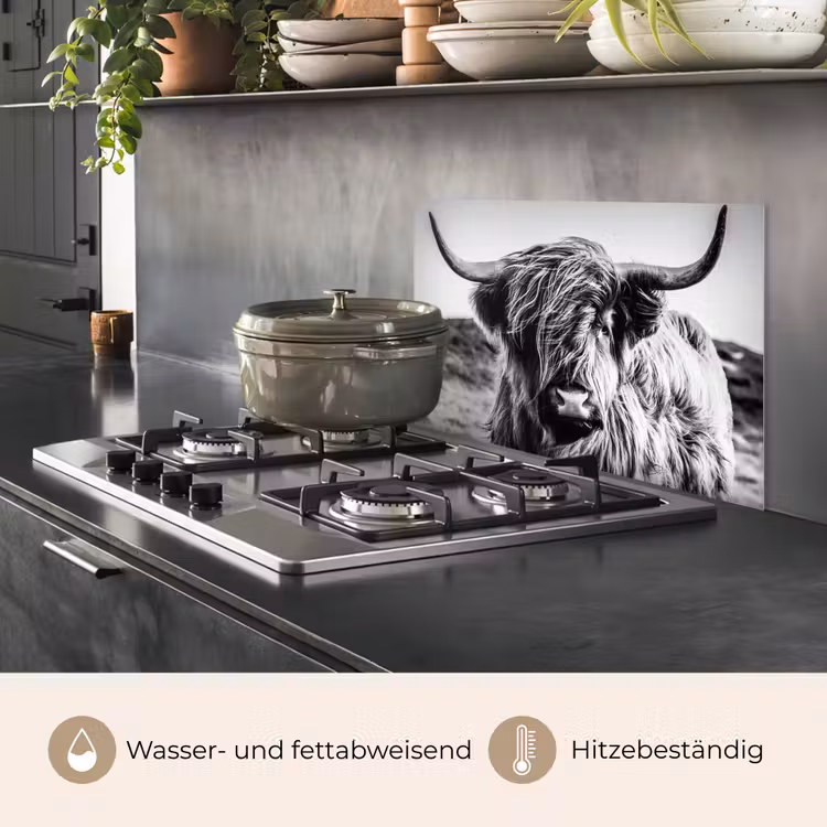 Schotse hooglander - Natuur - Koe - Zwart - Wit keuken achterwand spatscherm klein -usp_DE