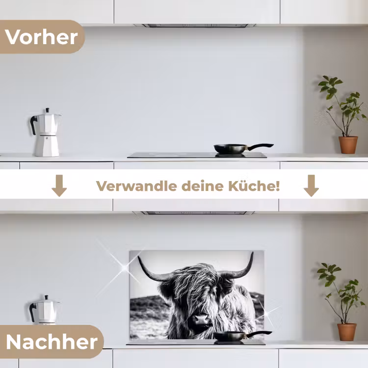Schotse hooglander - Natuur - Koe - Zwart - Wit keuken achterwand spatscherm klein -voor_na_DE
