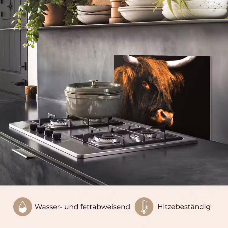 Schotse hooglander - Zwart - Koe - Hoorn - Dieren keuken achterwand spatscherm klein -usp_DE