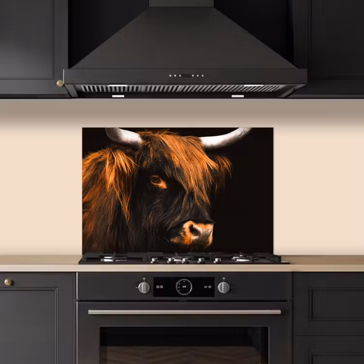 Schotse hooglander - Zwart - Koe - Hoorn - Dieren keuken achterwand spatscherm klein -sfeer1