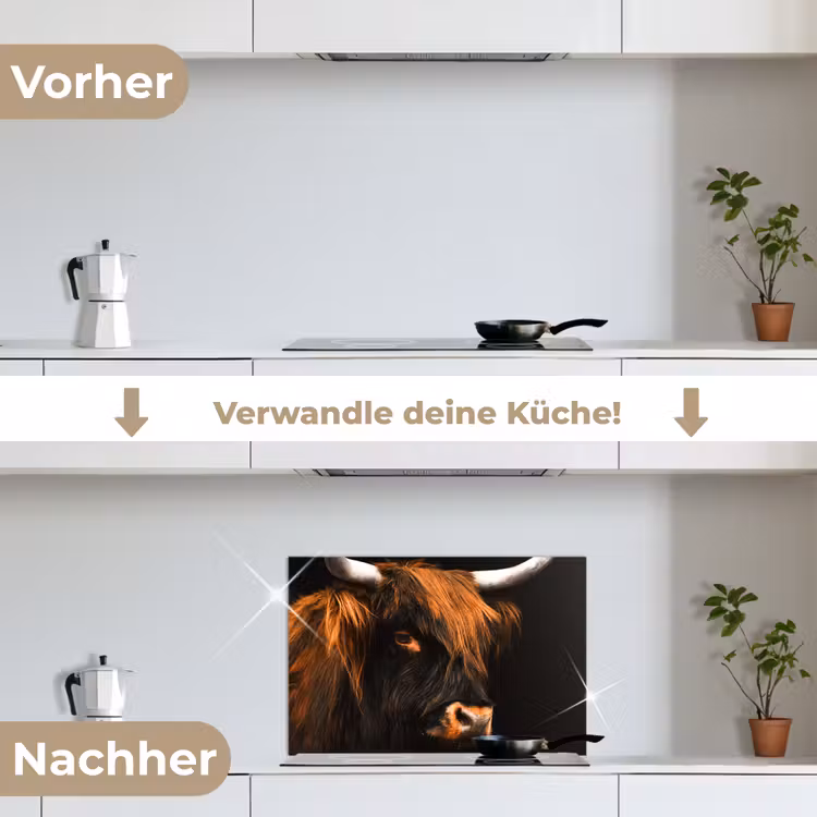 Schotse hooglander - Zwart - Koe - Hoorn - Dieren keuken achterwand spatscherm klein -voor_na_DE