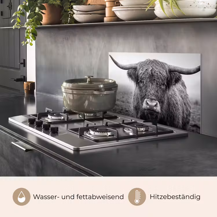 Schotse hooglander - Zwart - Wit - Gras keuken achterwand spatscherm klein -usp_DE