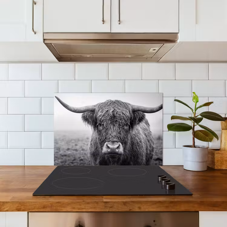 Schotse hooglander - Zwart - Wit - Gras keuken achterwand spatscherm klein -sfeer2