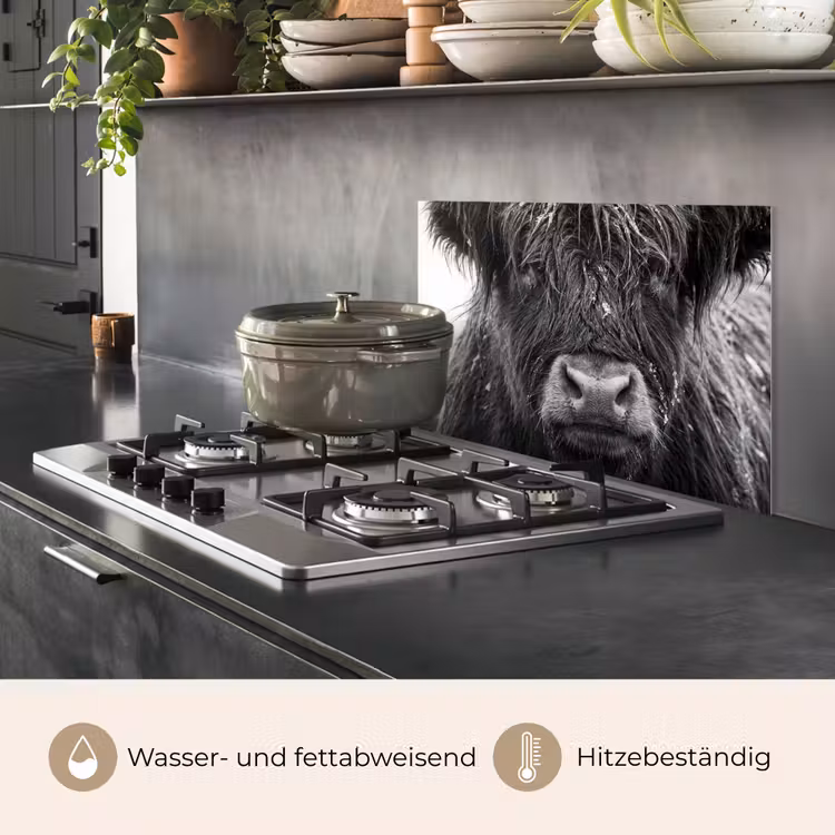 Schotse hooglander - Zwart - Wit - Sneeuwvlokken keuken achterwand spatscherm klein -usp_DE