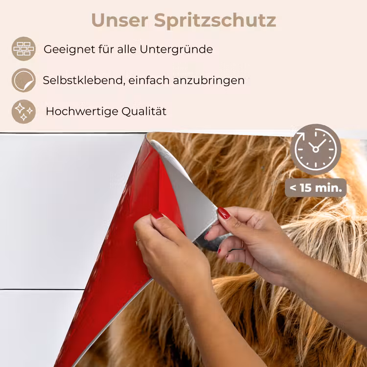Schotse Hooglander - Dieren - Bruin - Koe - Zwart - Wit - Natuur keuken achterwand spatscherm klein -spatscherm_DE