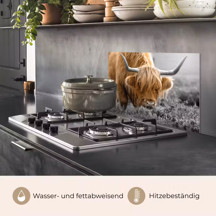 Schotse Hooglander - Dieren - Bruin - Koe - Zwart - Wit - Natuur keuken achterwand spatscherm klein -usp_DE