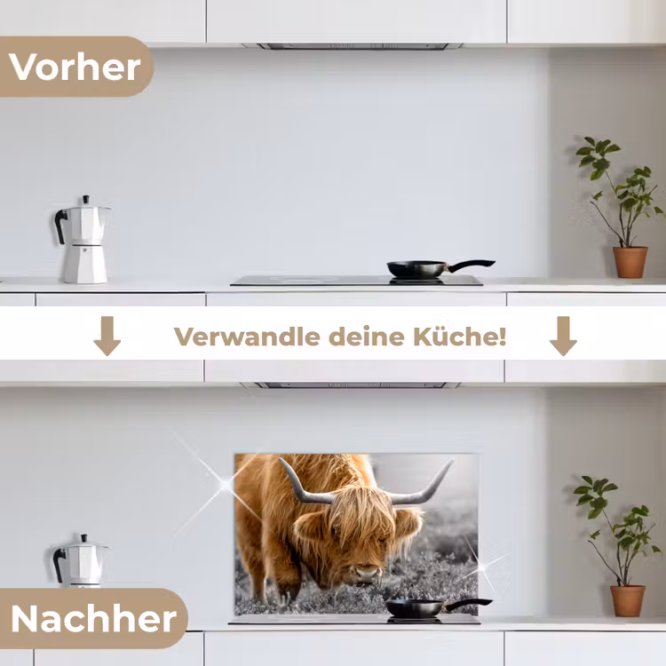 Schotse Hooglander - Dieren - Bruin - Koe - Zwart - Wit - Natuur keuken achterwand spatscherm klein -voor_na_DE