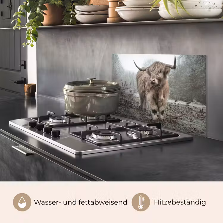 Schotse Hooglander - Bos - Mist - Koe - Dieren - Natuur keuken achterwand spatscherm klein -usp_DE