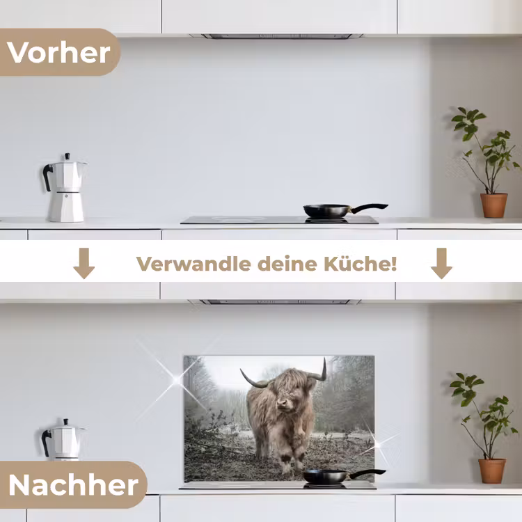 Schotse Hooglander - Bos - Mist - Koe - Dieren - Natuur keuken achterwand spatscherm klein -voor_na_DE