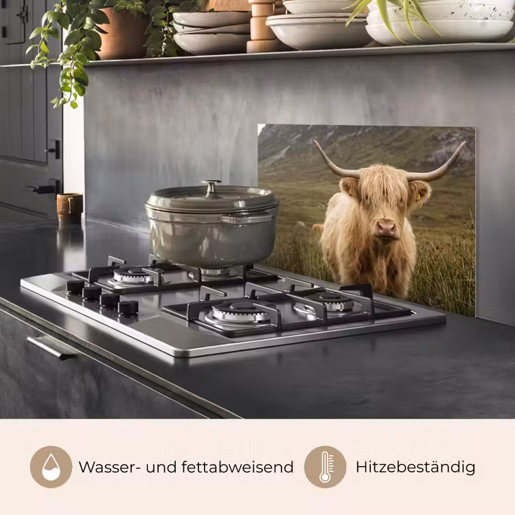 Schotse hooglander - Bergen - Grasveld keuken achterwand spatscherm klein -usp_DE