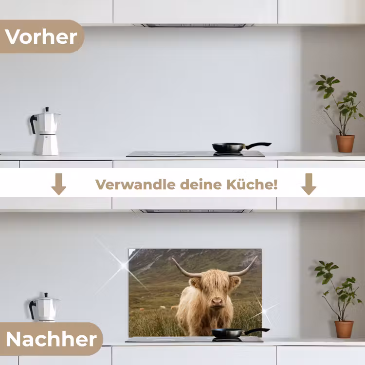 Schotse hooglander - Bergen - Grasveld keuken achterwand spatscherm klein -voor_na_DE