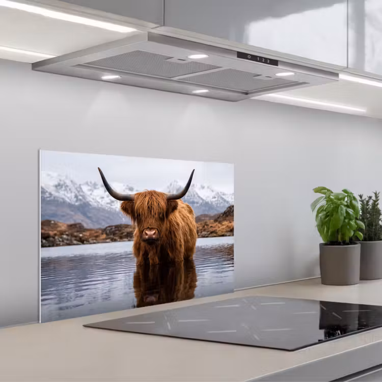 Schotse hooglander - Bruin - Water keuken achterwand spatscherm klein -3d_schuin