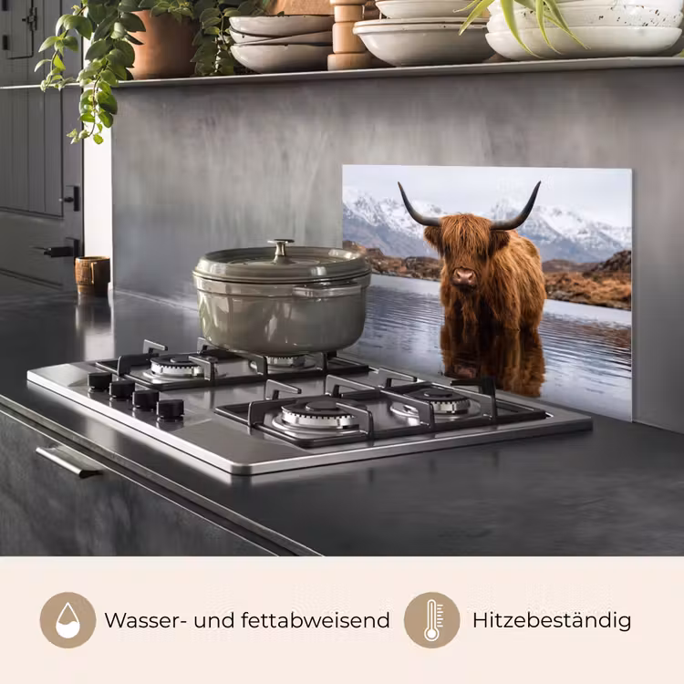 Schotse hooglander - Bruin - Water keuken achterwand spatscherm klein -usp_DE