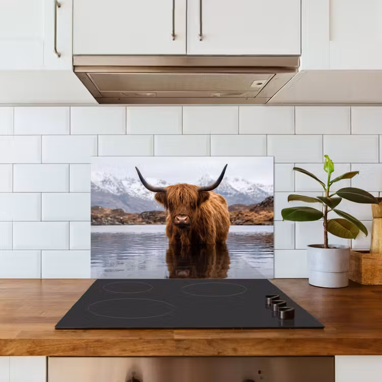 Schotse hooglander - Bruin - Water keuken achterwand spatscherm klein -sfeer2