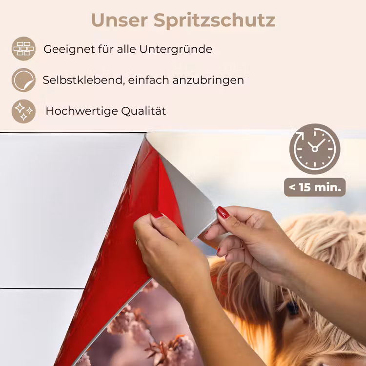 Schotse hooglander - Lente - Hooglanden keuken achterwand spatscherm klein -spatscherm_DE
