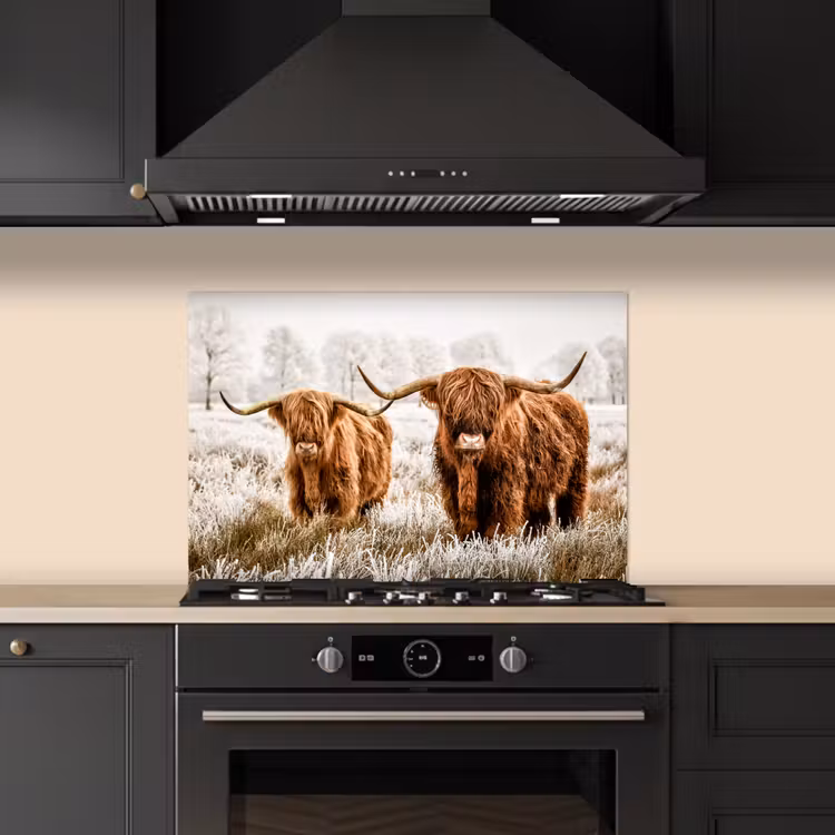 Schotse hooglander - Koe - Natuur - Winter keuken achterwand spatscherm klein -sfeer1