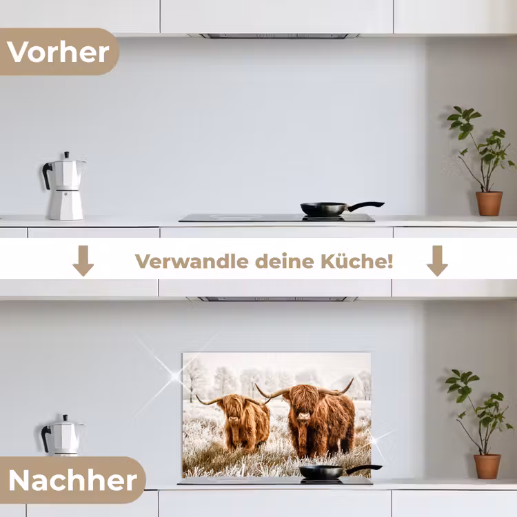 Schotse hooglander - Koe - Natuur - Winter keuken achterwand spatscherm klein -voor_na_DE