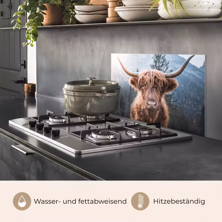 Schotse hooglander - Koe - Dieren - Berg - Natuur keuken achterwand spatscherm klein -usp_DE