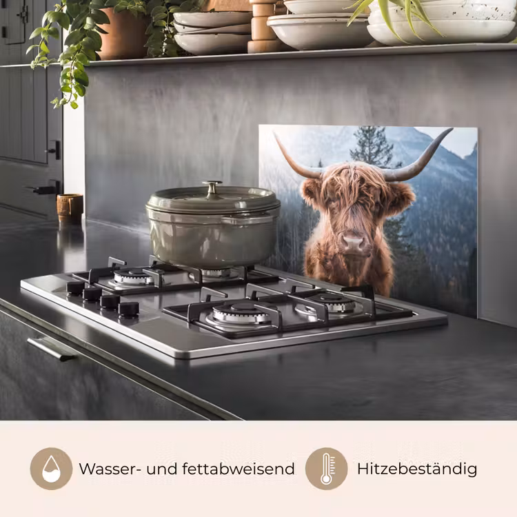 Schotse hooglander - Koe - Dieren - Berg - Natuur keuken achterwand spatscherm klein -usp_DE