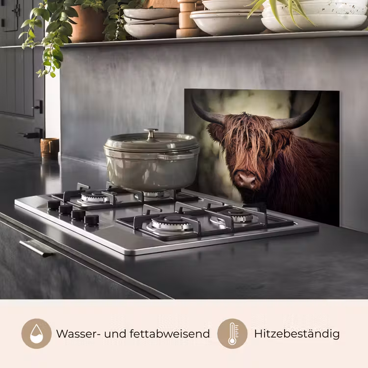 Schotse hooglander - Licht - Portret - Natuur keuken achterwand spatscherm klein -usp_DE