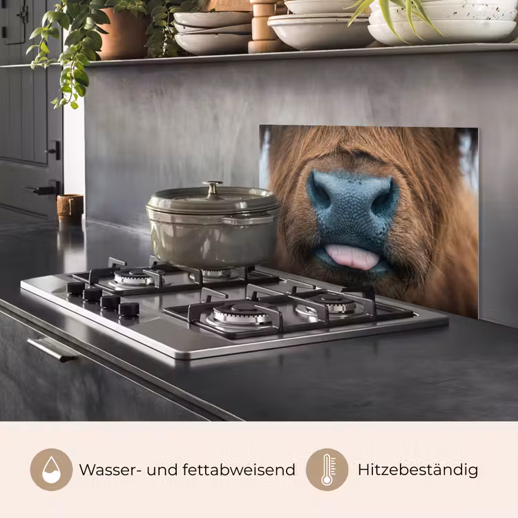 Schotse hooglander - Neus - Bruin keuken achterwand spatscherm klein -usp_DE