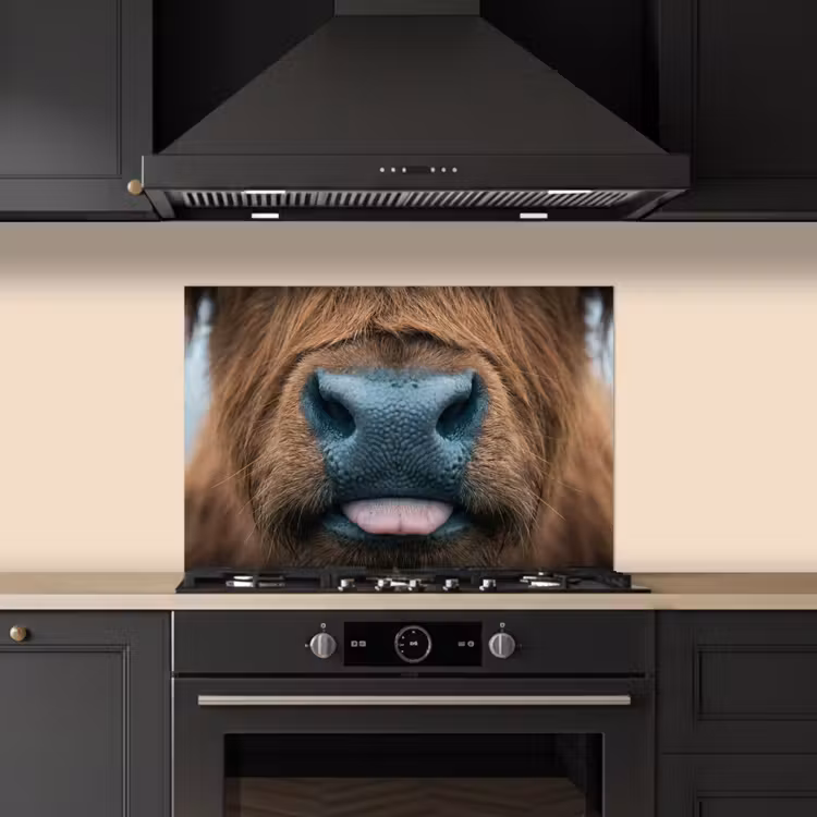Schotse hooglander - Neus - Bruin keuken achterwand spatscherm klein -sfeer1